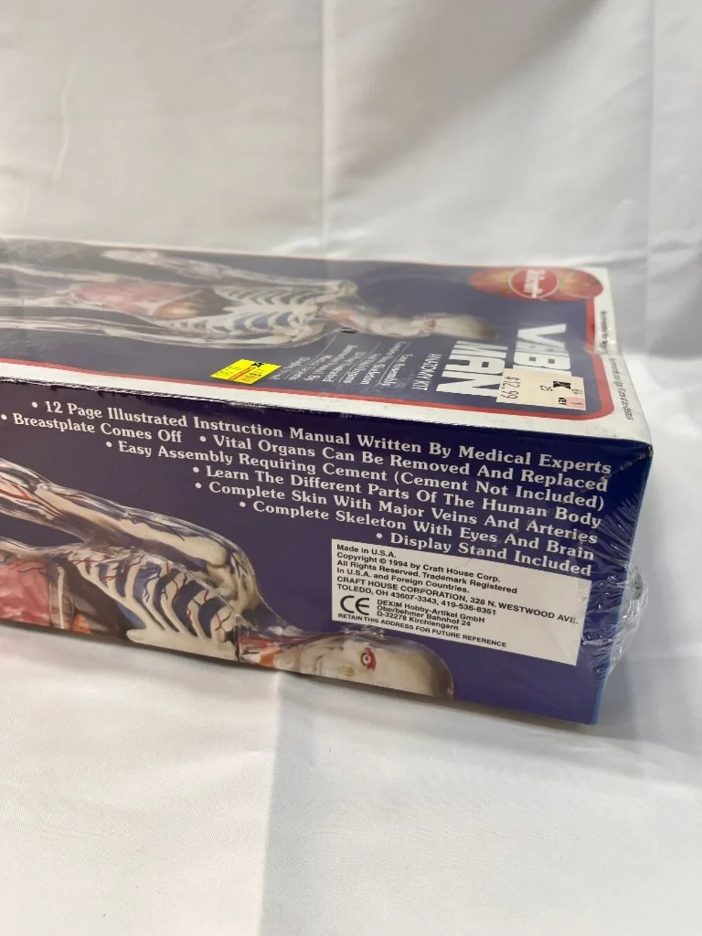 Vintage 1994 Skilcraft VISIBLE MAN Educational Anatomy Model Kit 14